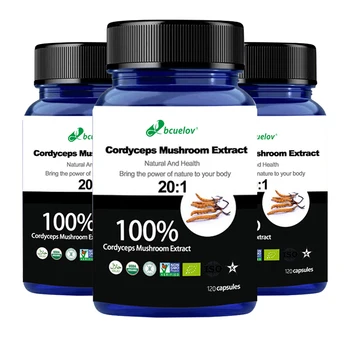 Best Hoge Kwaliteit 100% Pure Cordyceps Paddenstoel Extract Poeder,Cordyceps Sinensis CS-4,Dong Chong Xia Cao Beste van Hoge Kwaliteit 100%