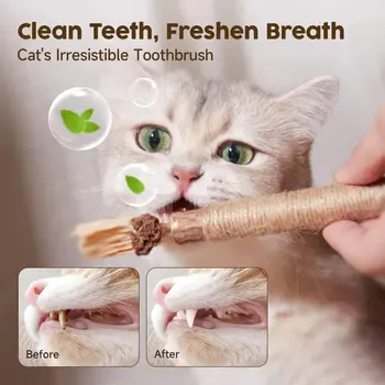 Kat houten polygonum molaire stick om te vermaken de kat, het verlichten van verveling, bijten bestendig speelgoed, schone tanden, duidelijke adem, pet products