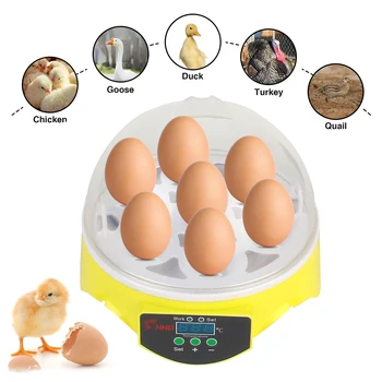 Mini Ei Incubator 7 Eieren Boerderij Broederij Broedmachine Instelbare Digitale Temperatuur Pluimvee Incubator Voor Kip Eend Vogel Duif